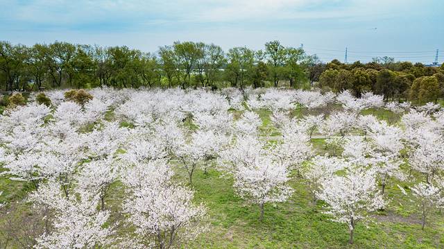 海洪宁静,海洪宁静海涛宁谧什么意思