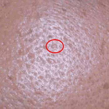 全世界都在吃“四鸭cp”的瓜，而我只关心弟弟的毛孔粗大...