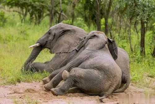 秘籍+浮力|护肤油的真香警告