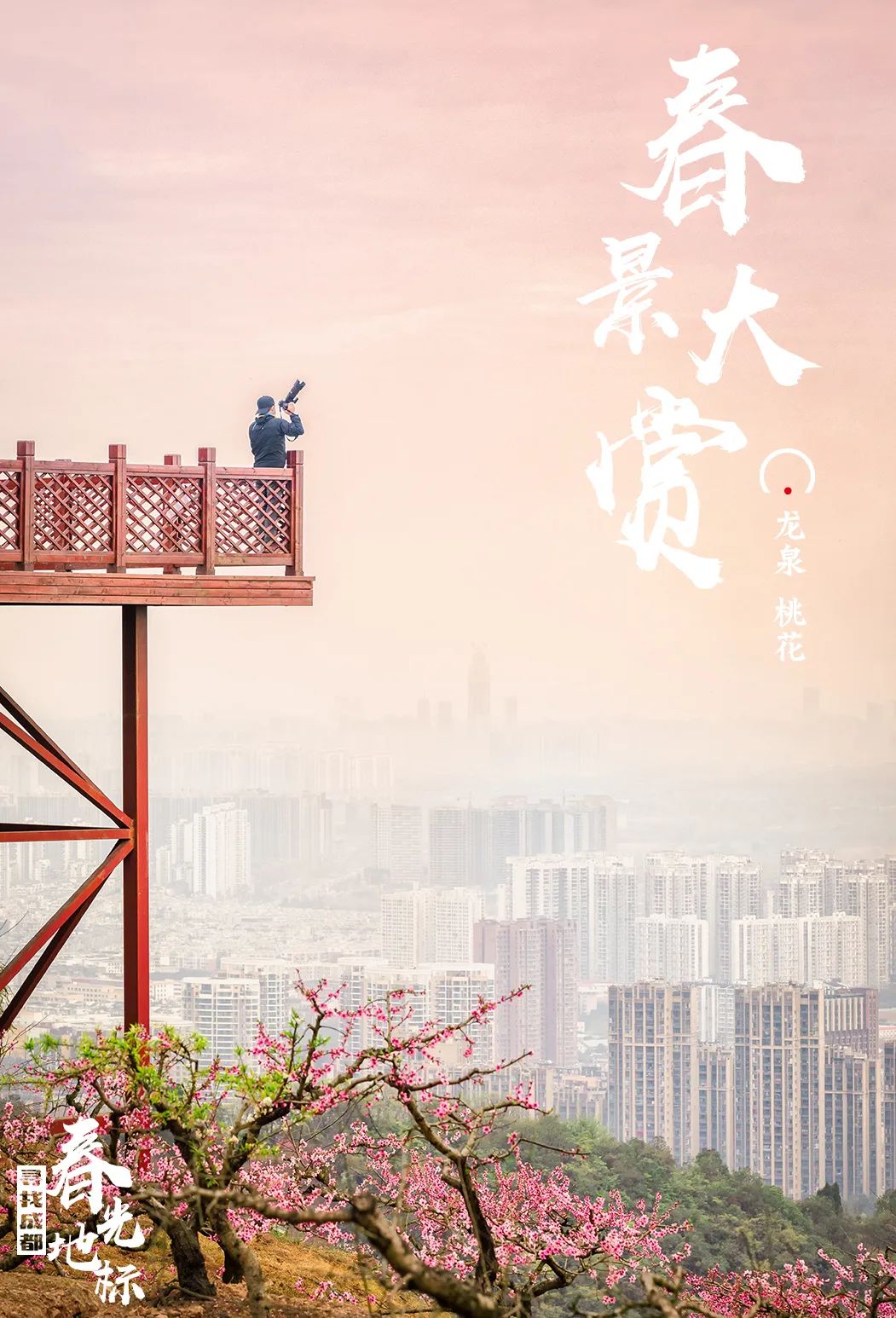 成都的春天都已经到来了,成都的春天是一个百花盛开的城市