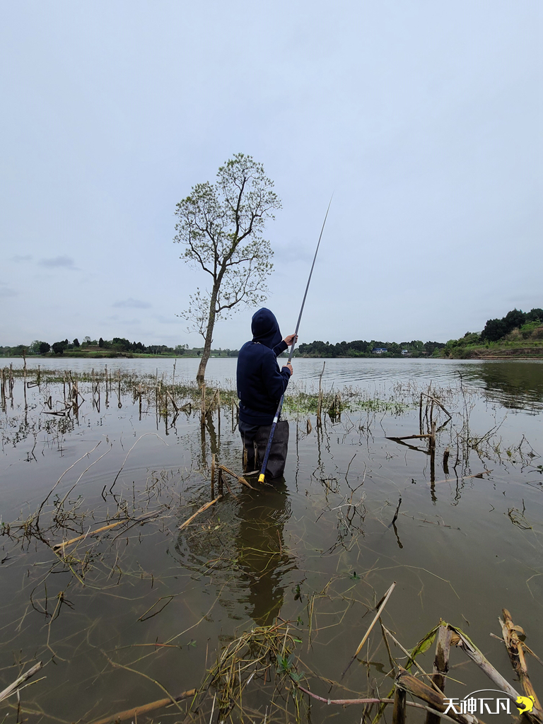 凤凰涅盘浴火重生对火的崇拜,凤凰涅盘浴火重生需要的是勇气