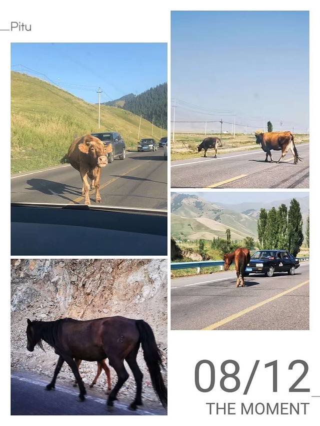 南北疆深度环线8日游,南北疆30天旅游攻略