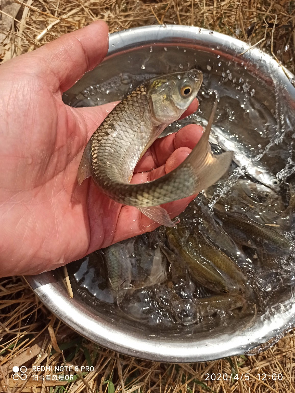 5.4鱼竿碰到大鱼老切线,5.4米鱼竿不适合野钓吗