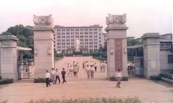 中南往事的故事,中南往事2019