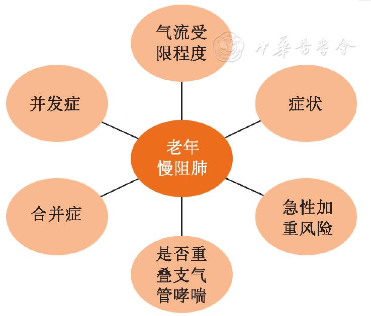 慢性阻塞性肺疾病诊治指南2021,老年慢性阻塞性肺疾病处方