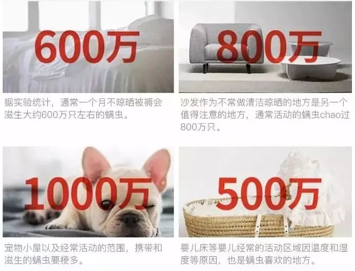 床上放个它，让螨虫绝望，让螨虫自杀，比太阳暴晒强1万倍