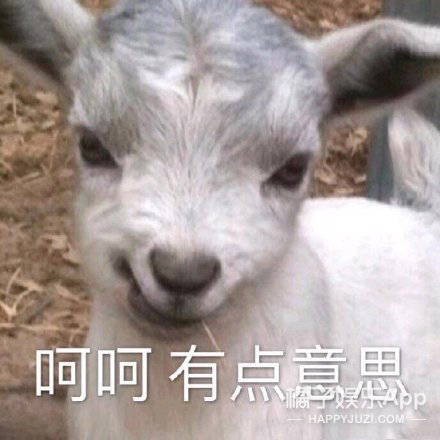 《冰糖》再现《香蜜》套路！10处剧情魔改虐观众，编剧脑子出走？