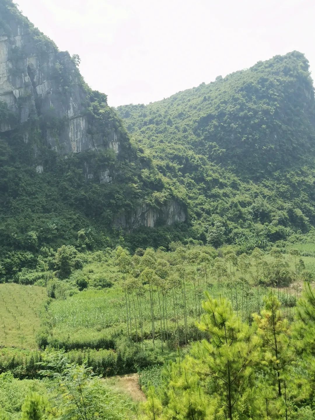 宜州铁城历史,广西河池金城江覃旺