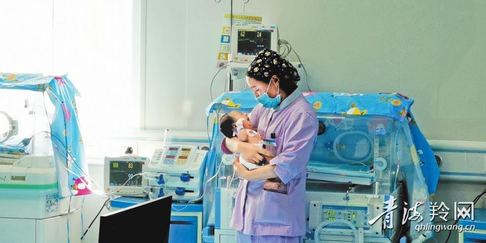 健康玉树,健康玉树最新信息