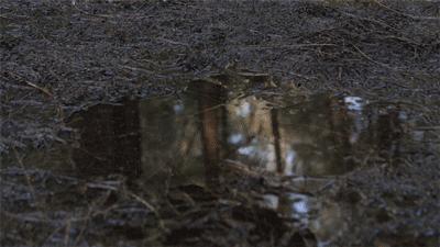 厉害了！这把伞一键自动开收伞，能抗8级大风