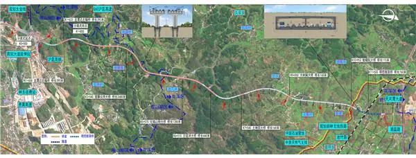 “头号玩家”现身，男子身藏625张Switch游戏卡入关被查
