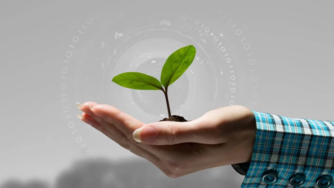 被网上人肉了怎样报警,人肉搜索侵权如何维权