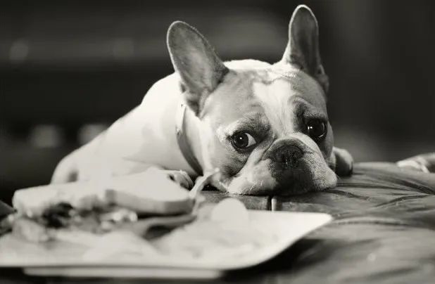 摩登家庭第七季深度解析,摩登家庭经典集