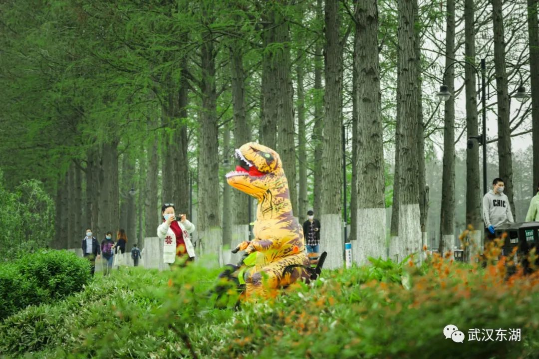 武汉解封后，我最先奔向了东湖