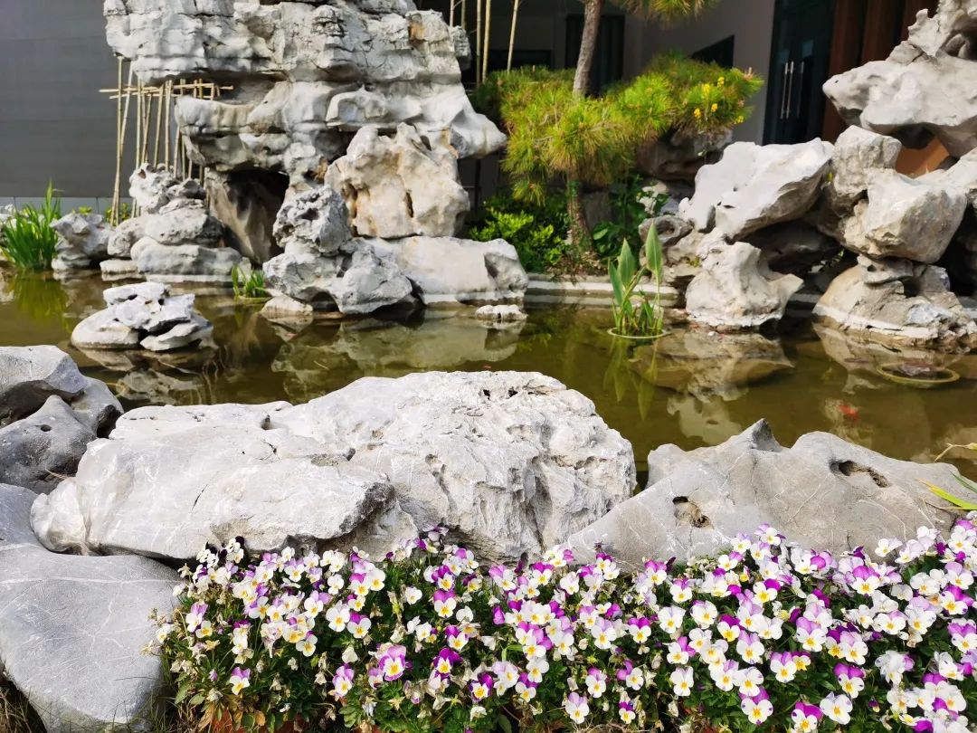 四月校园联谊,四月相聚