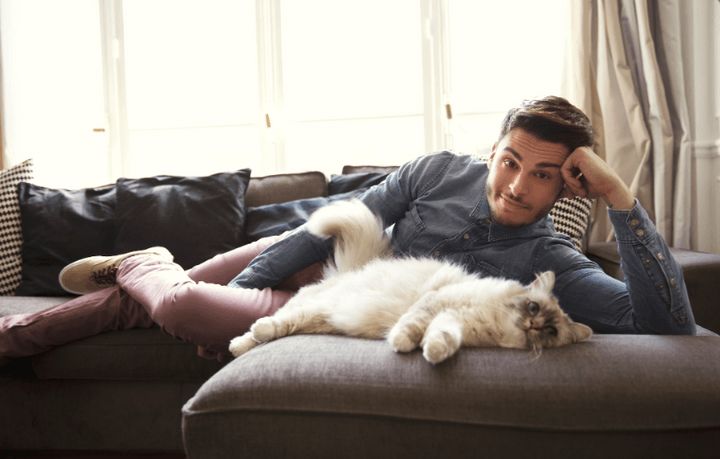 21亿遗产继承猫,继承21亿财产的猫