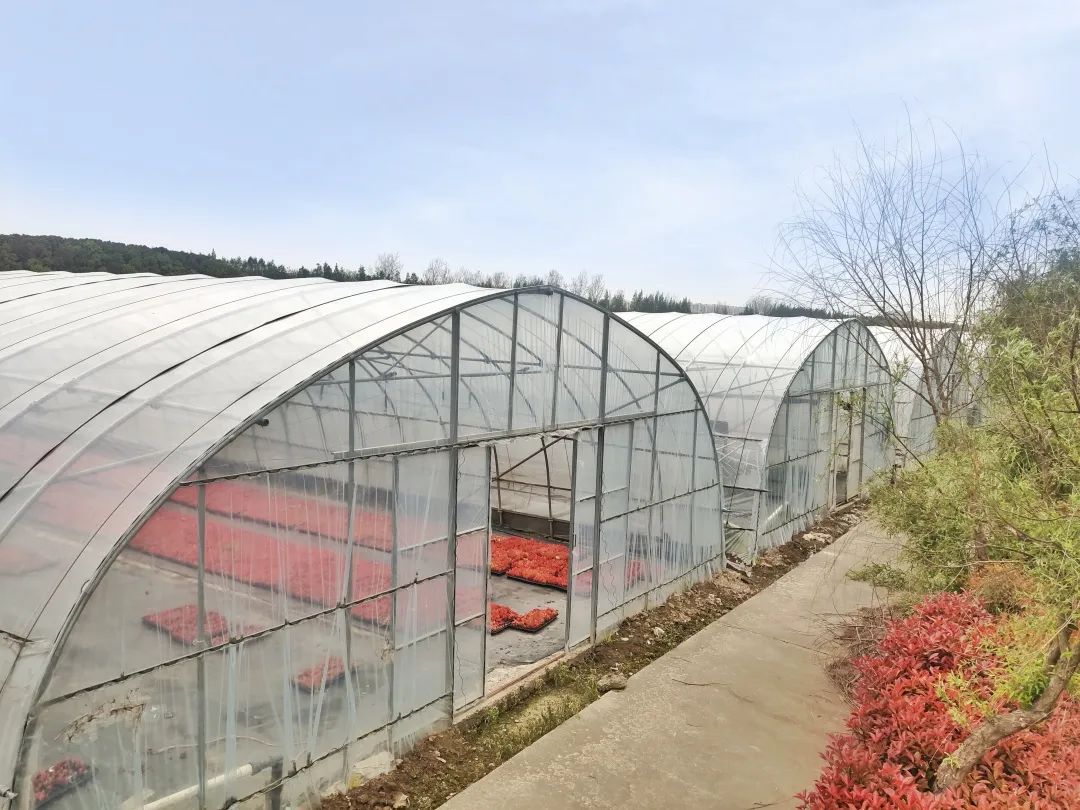 浦东新区曹路镇发展,曹路镇生活日记视频