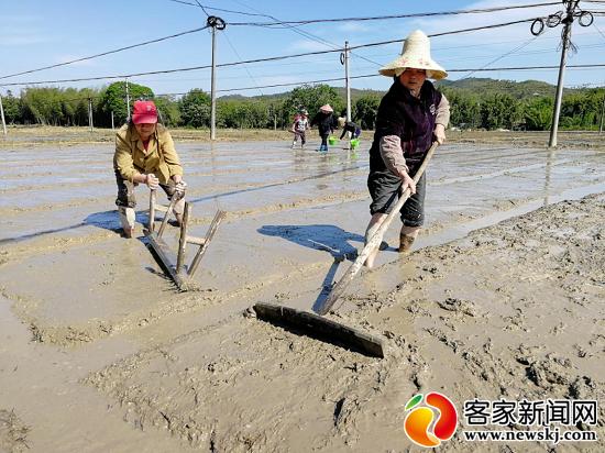 全南：沃野田畴染新绿