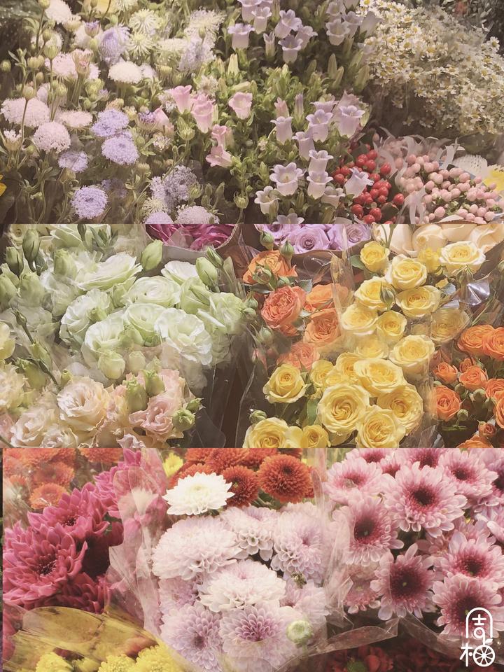 吴山游玩攻略,吴山景区自由行热门攻略