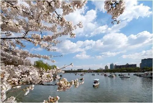 北京春季和秋季花粉过敏哪个厉害,预防花粉皮肤过敏的正确方法