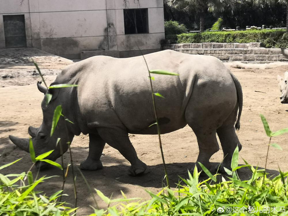 成都周边一日游免费景点推荐,成都温江十大景点免费
