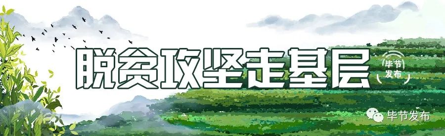 脱贫路上继续前行,脱贫攻坚乡村行