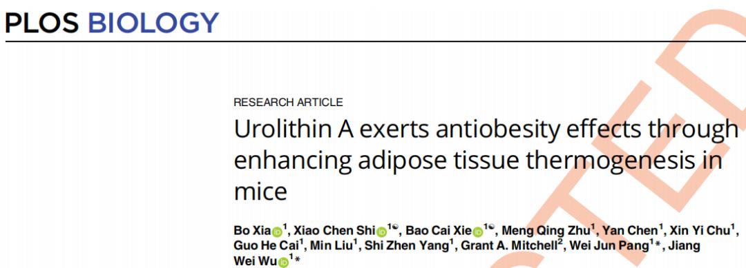 “‘活药厂’——糖尿病治疗新技术？”，“中国团队发现肥胖新疗法”五大资讯一文汇总｜医脉“药”闻