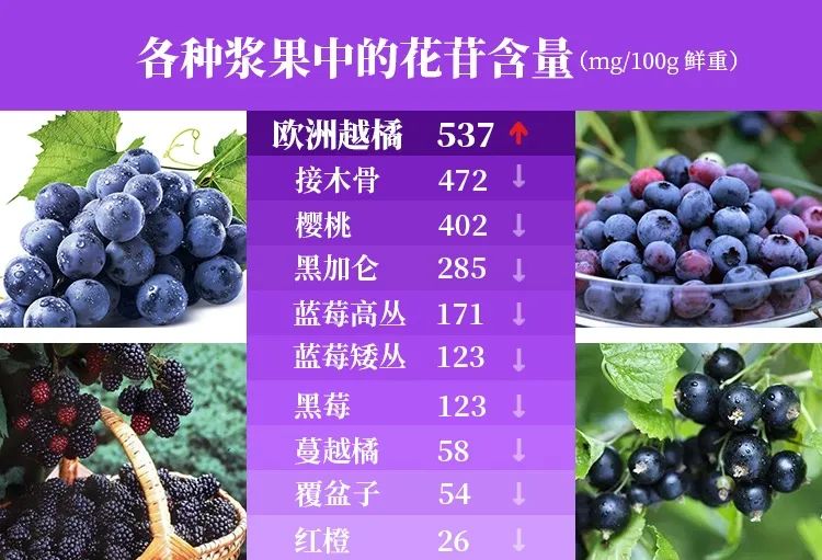 日本眼疲劳干涩护眼液,日本眼科蓝光过滤器