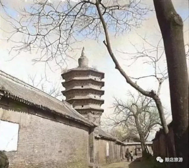 郑长春长篇小说连载：青台镇