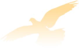 深圳律师张丽杰,律师张丽杰