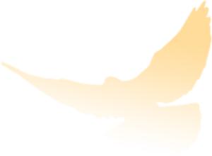 广东律师40年|众达所：有口皆碑发展专业素质，不忘初心回馈社会群众