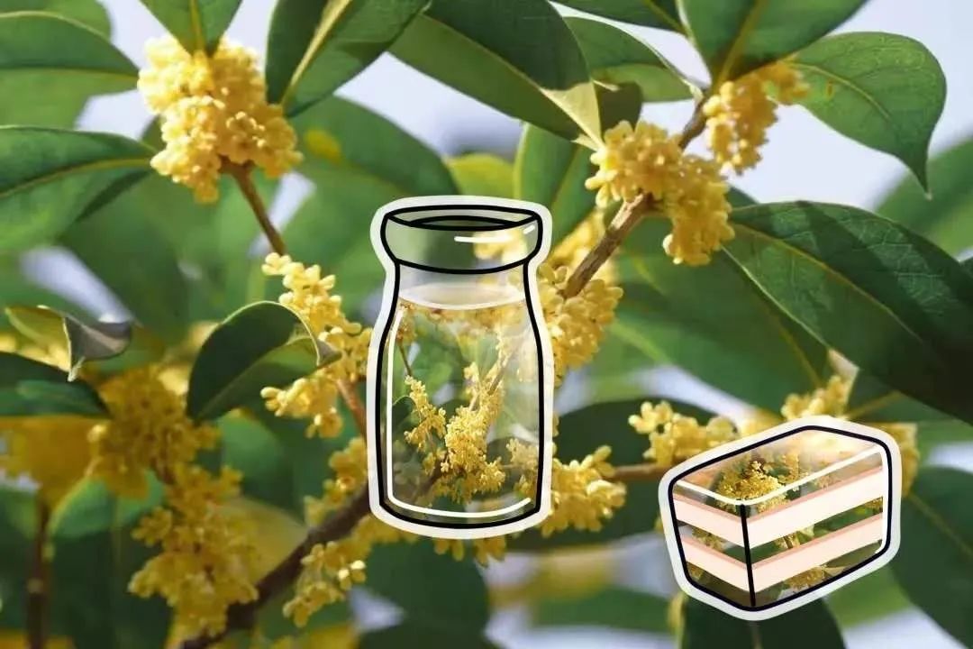 离开学校的第100天,离开校园的第100天