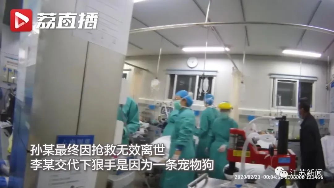 苏州宠物狗被捅死,苏州男子被狗打死