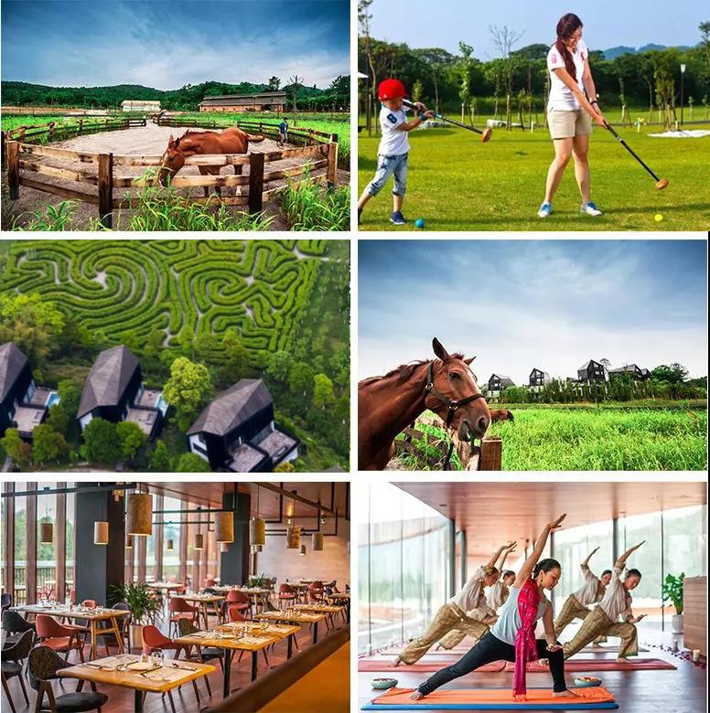 限时抢购||499元抢住浮生御度假村温泉住宿超值套餐