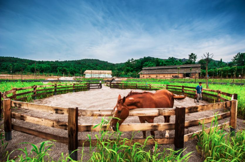 浮生御温泉度假村399团购,浮生御温泉酒店优惠券领取
