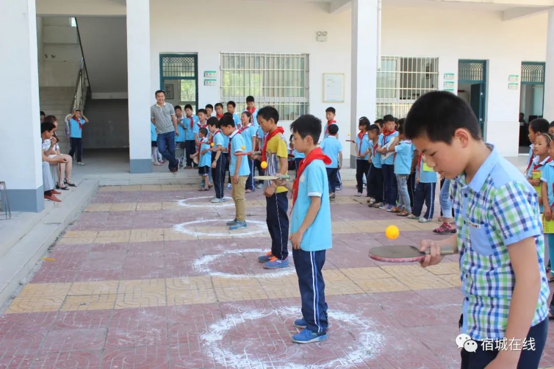 宿城有哪些学校,宿城区学校有哪些