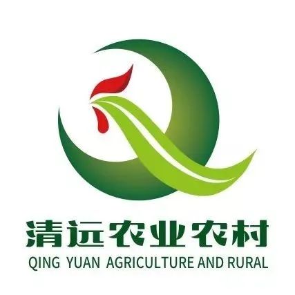 清远中考志愿报名,2022省考清远中考报名