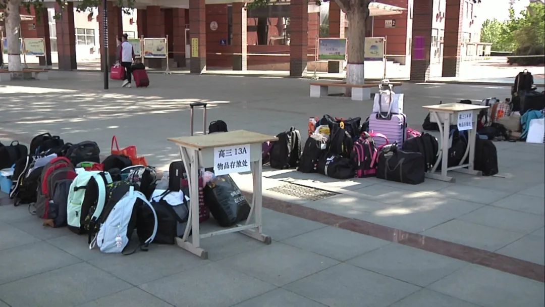 现场直击开学第一天！春风十里，不如学校有你~