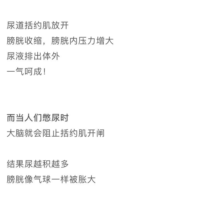 漫画科普：那些憋住的尿，最终都流向了哪里？