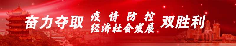 湖北高速应急车道管制最新通知,湖北高速收费站关闭通知