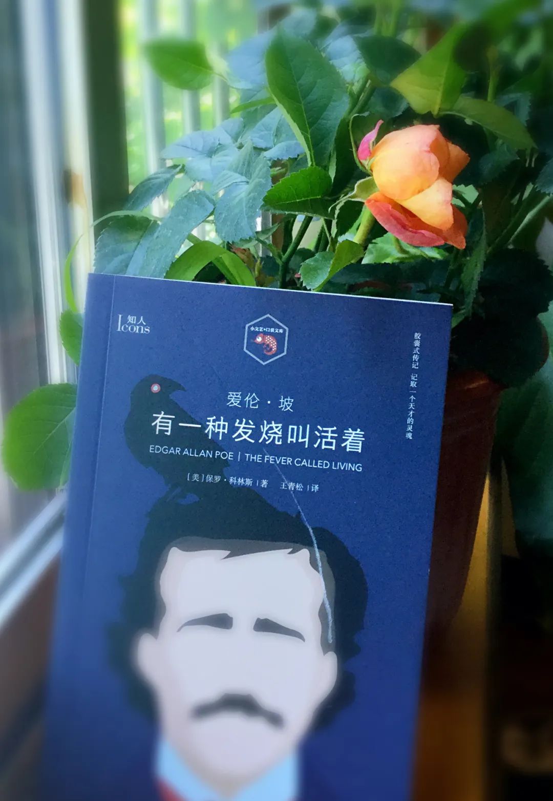 眼睛大一点,眼睛张大