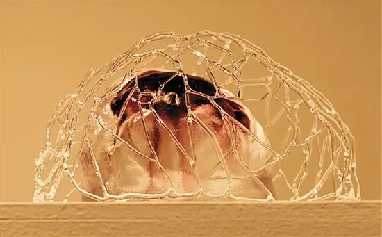 疫情下创作的作品,疫情下的云阅读