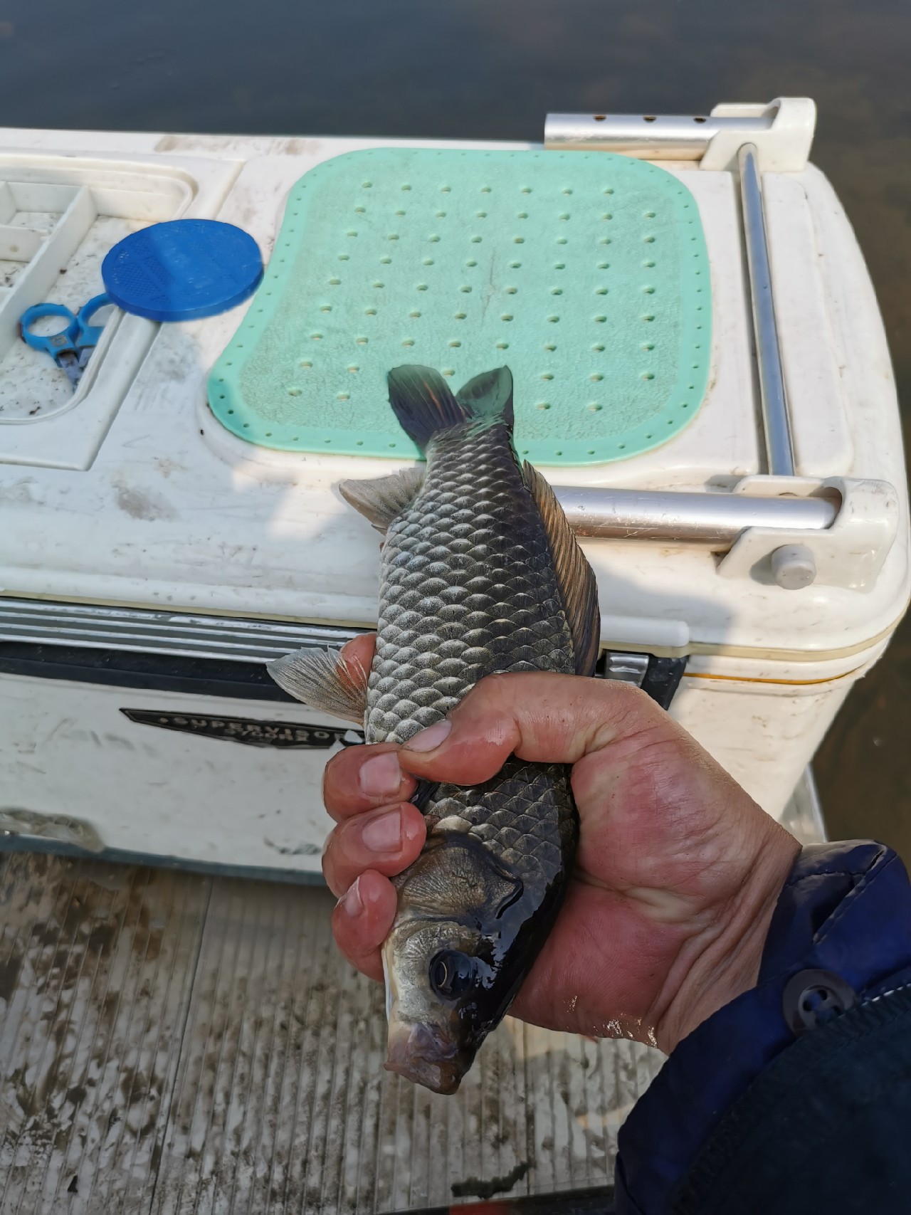 最近钓鱼为啥一直没口啊,野钓鱼不开口有什么解决办法