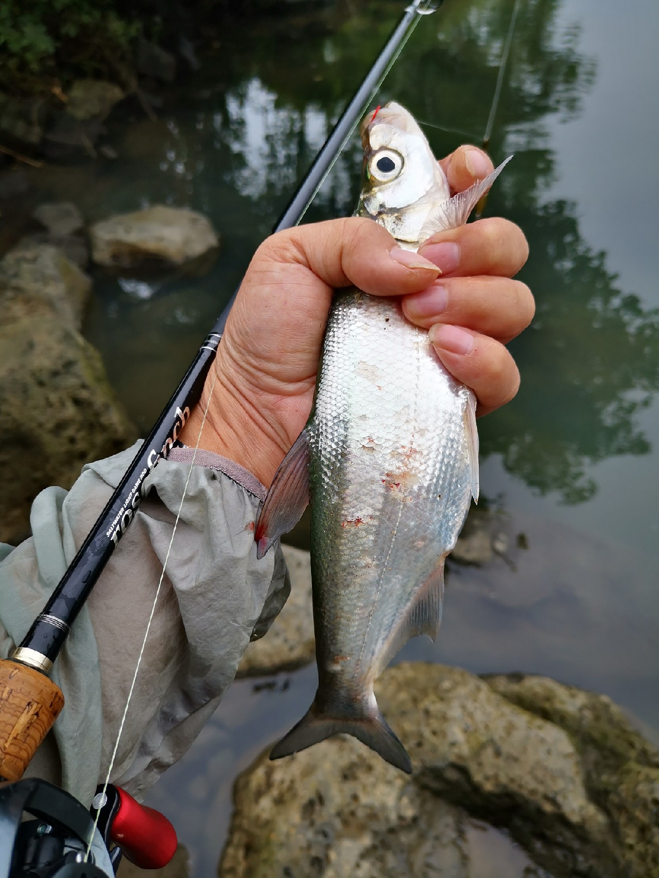 看别人路中大翘嘴，心痒怎么办？拿起鱼竿就是干