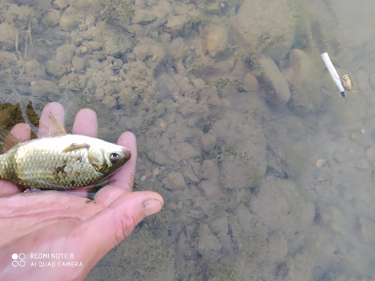海竿串钩正确钓法视频,海竿串钩野钓最佳方法