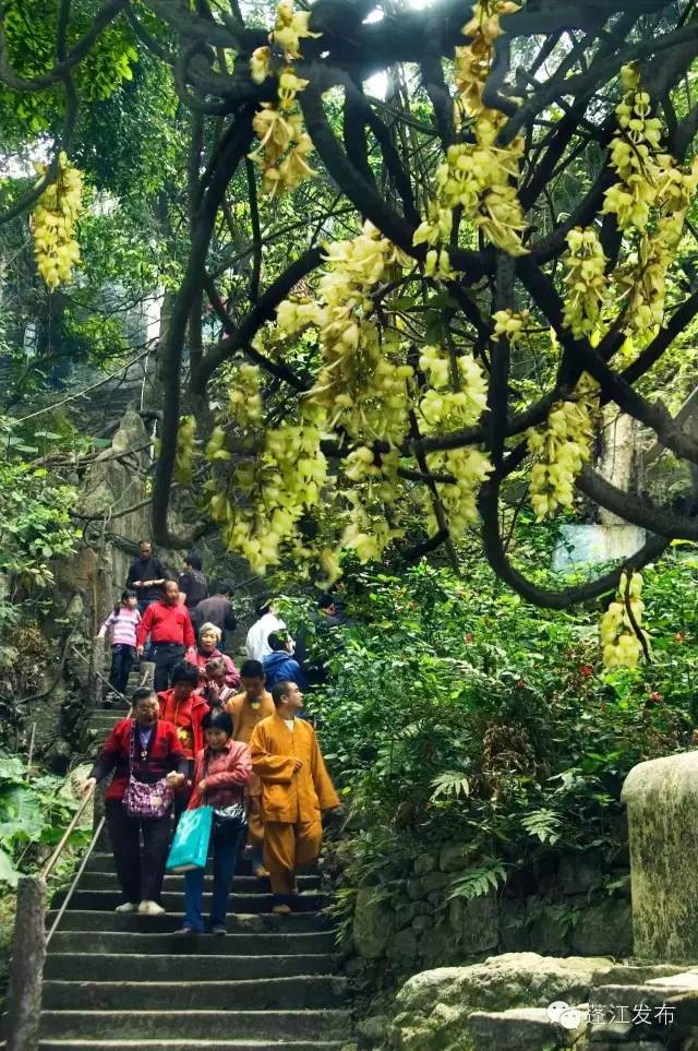 江门蓬江滨江新城,江门市蓬江区滨江新城