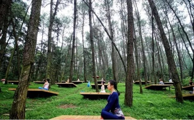 郑州五一值得打卡去处,郑州最值得去玩的地方