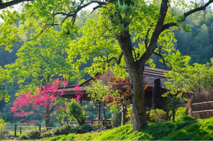 春游江淮请您来｜2019年度安徽省百家精品民宿（黄山篇）