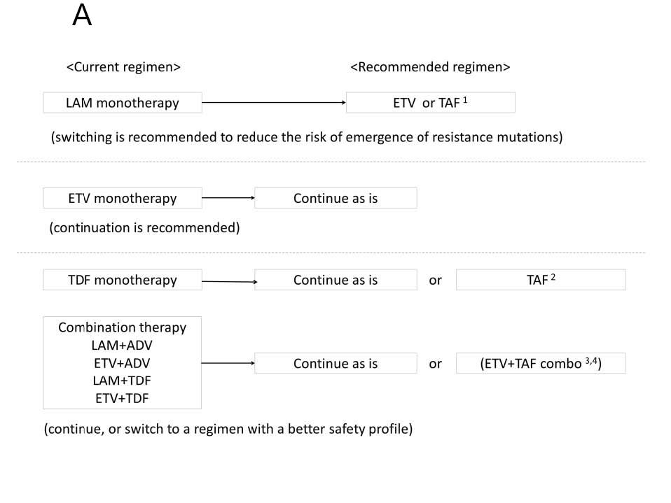 NA治疗慢乙肝：应答良好or不佳，如何进一步优化治疗策略？｜日本肝脏学会核心推荐