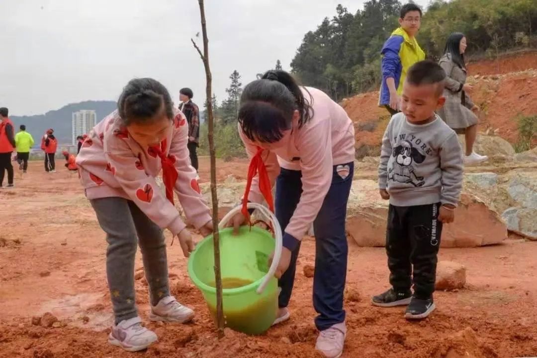 干掉千年沙漠,千年沙漠种树有多厉害